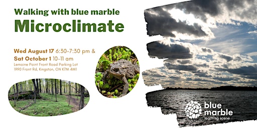 Walking with blue marble | Microclimate