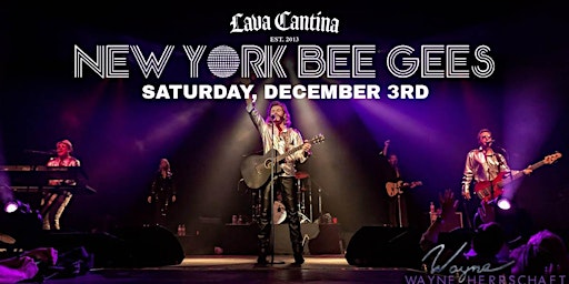 New York Bee Gees Live at Lava Cantina