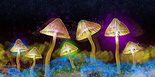 The Science of Psychedelics with Dr. David Luke
