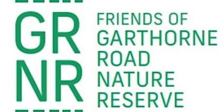 Friends of Garthorne Road Nature Reserve workday