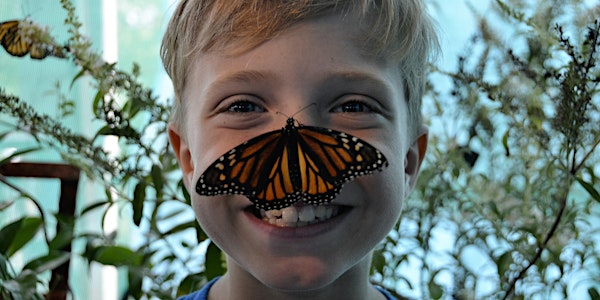 2022 Kiwanis Butterfly Festival in Southlake