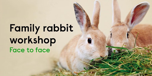 Family Rabbit Workshop - Godmanchester Centre