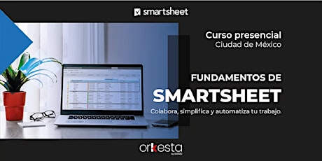 Curso de Fundamentos de  Smartsheet  |  Presencial en Cd. de Mex (16 horas) entradas