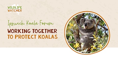 Ipswich Koala Forum
