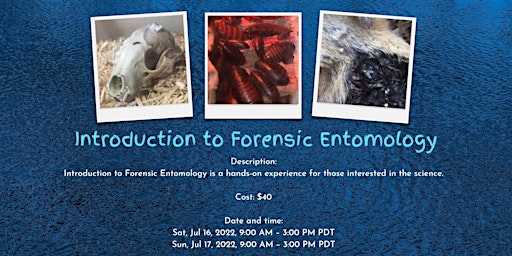 Introduction to Forensic Entomology
