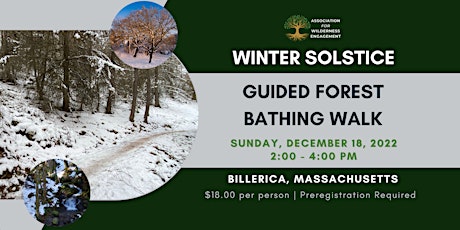 Winter Solstice Guided Forest Bathing Walk
