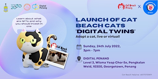 Launch of Cat Beach Cats 'Digital Twin'
