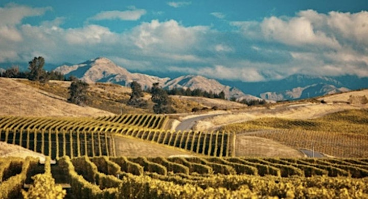 New Zealand Beyond Sauvignon. Wine Tasting image