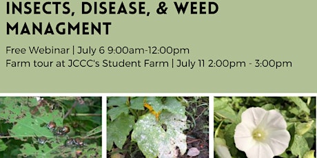 Insects, Disease & Weed Management Workshop