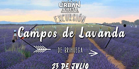 Excursión a los Campos de Lavanda de Brihuega – Sábado 23 de Julio tickets
