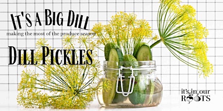 Pickling Cucumbers: It's a Big Dill ~ August 3