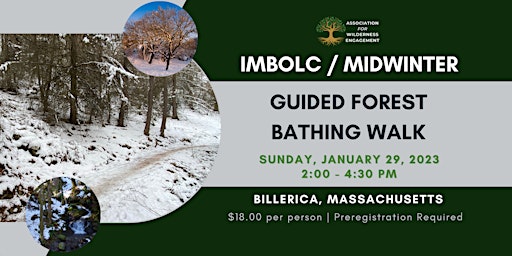 Imbolc Guided Forest Bathing Walk