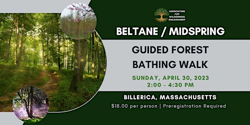 Beltane / Midspring Guided Forest Bathing Walk