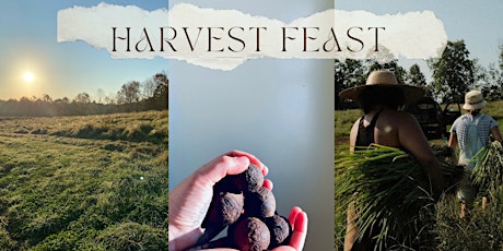 Harvest Feast