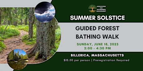 Summer Solstice Guided Forest Bathing Walk