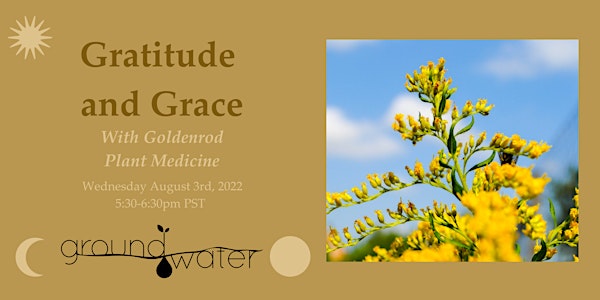 Gratitude and Grace with Goldenrod Plant Spirit Medicine