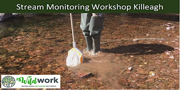 Glenbower Woods – Stream Monitoring Workshop