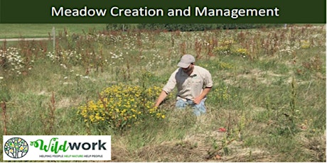 Walk and Talk: Meadow Creation and Management Midleton