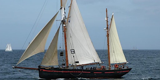 From Dublin to Portaferry Strangford Lough  by Sailing Ship - STV LEADER