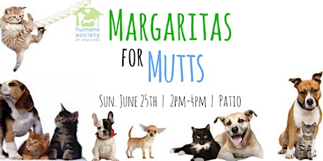 Margaritas For Mutts primary image