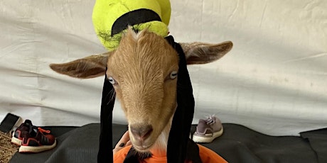 Goat Yoga Nashville- Halloween Spooktacular