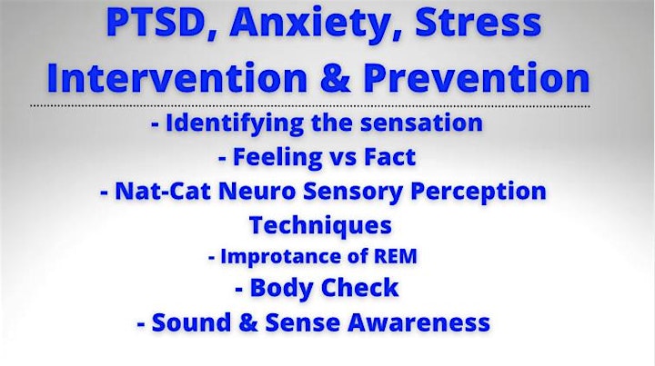 FREE WEBINAR Nat-Cat Coaching PTSD, Anxiety's & Addictions Intervention image