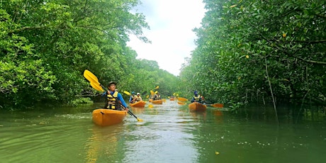Sunrise Paddle to 4 Enchanted Ubin Mangrove Rivers