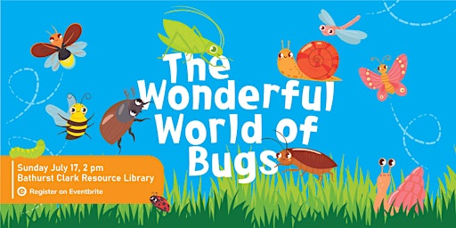The Wonderful World of Bugs
