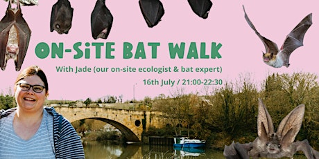 Take a walk to see & hear local bats around our site
