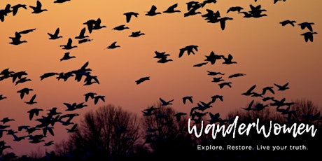 Wild Geese Wander