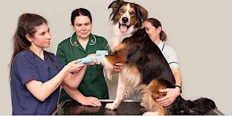 Veterinary Nursing OSCE revision events tickets
