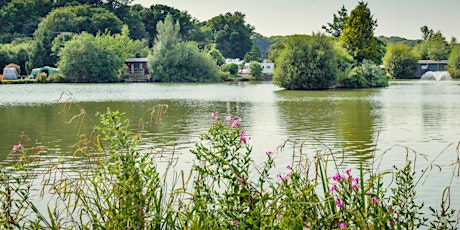 Summer Horsham Walks: Sumners Ponds