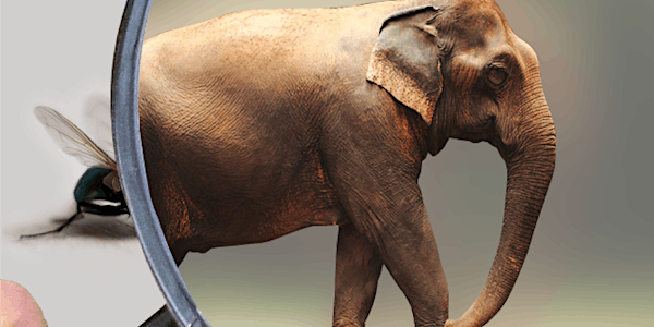 HR Breakfast Seminar - Don’t make an elephant out of a fly