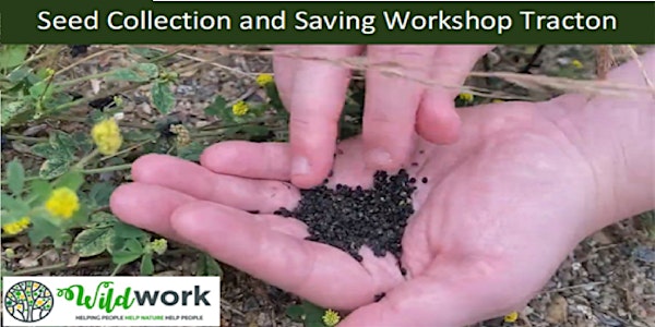 Wildflower Seed Collection and Saving Workshop Tracton