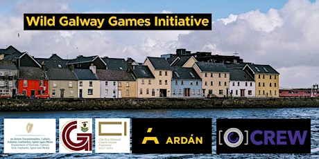 Wild Galway Games Initiative Pitch Meeting