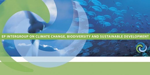Supporting the Implementation of SDG 14