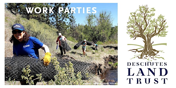 Beaver Dam Build Party, Willow Springs Preserve