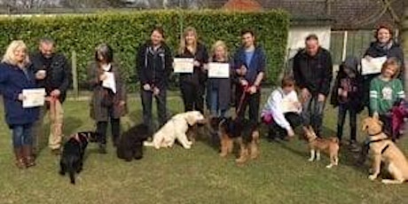 Puppy Training Class for Beginners 13/8/22