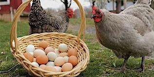 Small Flock Egg Producers Workshop