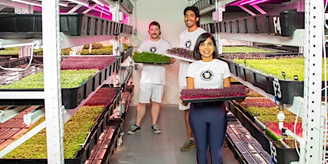 Eat Local in Boston with Giant Gorilla Greens