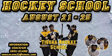 Tigers Hockey School primary image