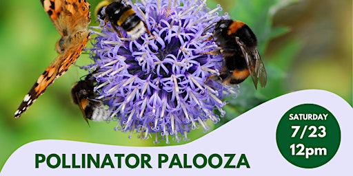 LO NYC | Jamaica Bay Wildlife Refuge: Pollinator Palooza!