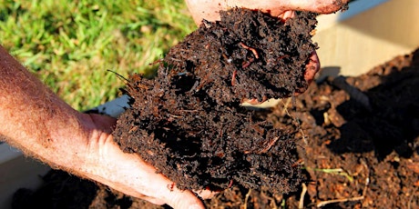 Making beautiful soil from food and garden waste