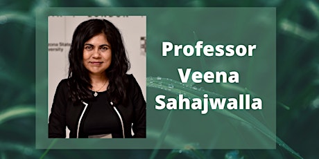 Professor Veena Sahajwalla  - waste and circular economies