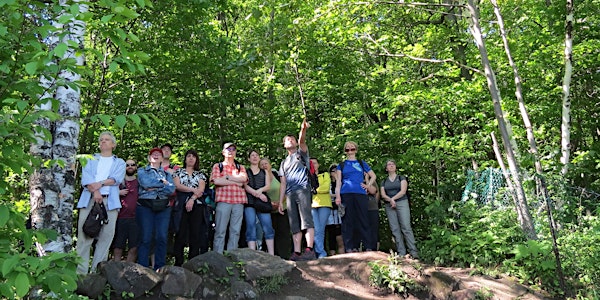 Randonnée guidée : Les trois sommets du mont Royal - Spécial 375e - Dimanch...