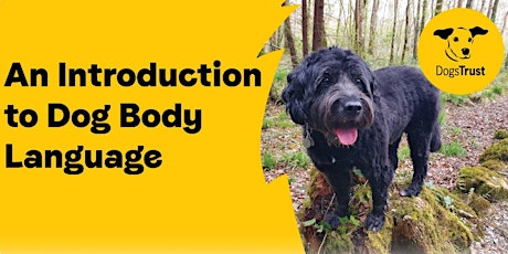 Introduction to Dog Body Language; Online Talk