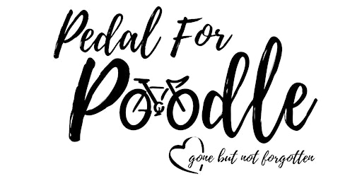 Pedal for Poodle