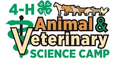 4-H Veterinary Science Day Camp - Summer 2017 primary image