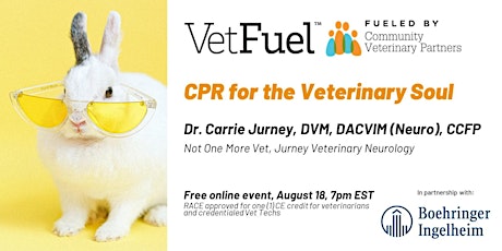 CPR for the Veterinary Soul