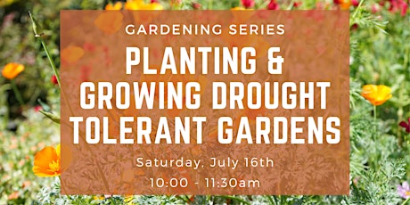 Planting and Growing a Drought Tolerant Garden  primärbild